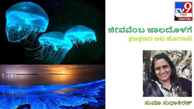 Science and Environment: ಜೀವವೆಂಬ ಜಾಲದೊಳಗೆ; ಗೊತ್ತೇ ಈ ಜೈವಿಕ ಬೆಳಕಿನ ಗುಟ್ಟು?