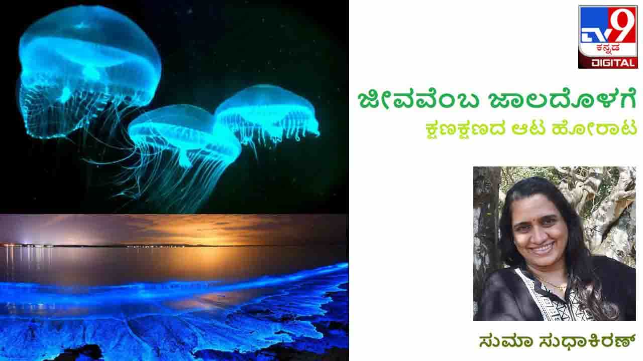 Science and Environment: ಜೀವವೆಂಬ ಜಾಲದೊಳಗೆ; ಗೊತ್ತೇ ಈ ಜೈವಿಕ ಬೆಳಕಿನ ಗುಟ್ಟು? Science and Environment: ಜೀವವೆಂಬ ಜಾಲದೊಳಗೆ; ಗೊತ್ತೇ ಈ ಜೈವಿಕ ಬೆಳಕಿನ ಗುಟ್ಟು?