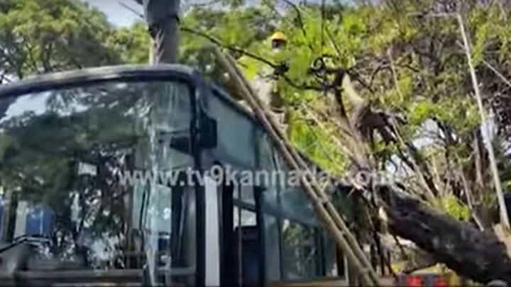 ಬೃಹತ್ ಗಾತ್ರದ ಮರವೊಂದು ಉರುಳಿ ಬಿದ್ದಿದ್ದು ಬಿ ಎಮ್ ಟಿ ಸಿ ಬಸ್ ಮೇಲೆ, ಯಾರಿಗೂ ಪ್ರಾಣಾಪಾಯವಿಲ್ಲ! ಬೃಹತ್ ಗಾತ್ರದ ಮರವೊಂದು ಉರುಳಿ ಬಿದ್ದಿದ್ದು ಬಿ ಎಮ್ ಟಿ ಸಿ ಬಸ್ ಮೇಲೆ, ಯಾರಿಗೂ ಪ್ರಾಣಾಪಾಯವಿಲ್ಲ!