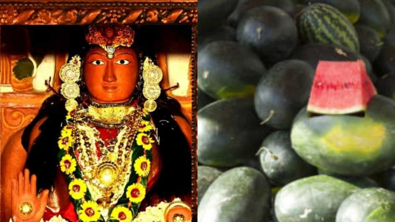 Special Story : ಪೊಳಲಿ ಜಾತ್ರೆಗೂ ಕಲ್ಲಂಗಡಿಗೂ ಐತಿಹಾಸಿಕ ಸಂಬಂಧ! Special Story : ಪೊಳಲಿ ಜಾತ್ರೆಗೂ ಕಲ್ಲಂಗಡಿಗೂ ಐತಿಹಾಸಿಕ ಸಂಬಂಧ!
