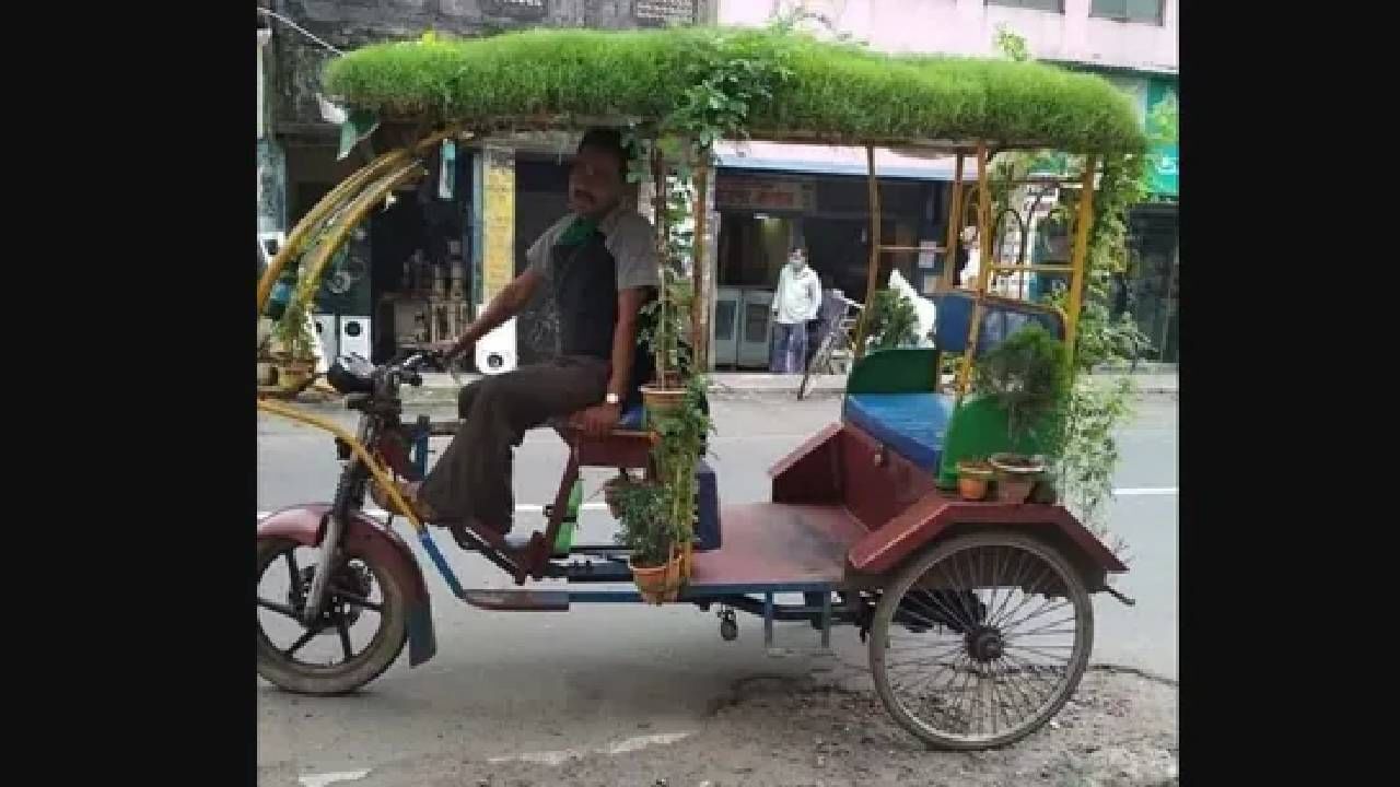 ಆಟೋದ ಛಾವಣಿ ಮೇಲೆ ಮಿನಿ ಗಾರ್ಡನ್​ ಬೆಳೆಸಿದ ಚಾಲಕ; ಕೂಲ್ ಕೂಲ್ ಎಂದ ನೆಟ್ಟಿಗರು