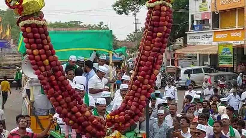 ಬಾಗಲಕೋಟೆಯಲ್ಲಿ 1 ಲಕ್ಷ 50 ಸಾವಿರ ರೂ ಮೌಲ್ಯದ 800 ಕೆಜಿ ತೂಕದ ಬೃಹತ್ ಸೇಬು ಹಾರಹಾಕಿ ಸಚಿವ S.R.ಪಾಟೀಲ್ಗೆ ಸ್ವಾಗತ