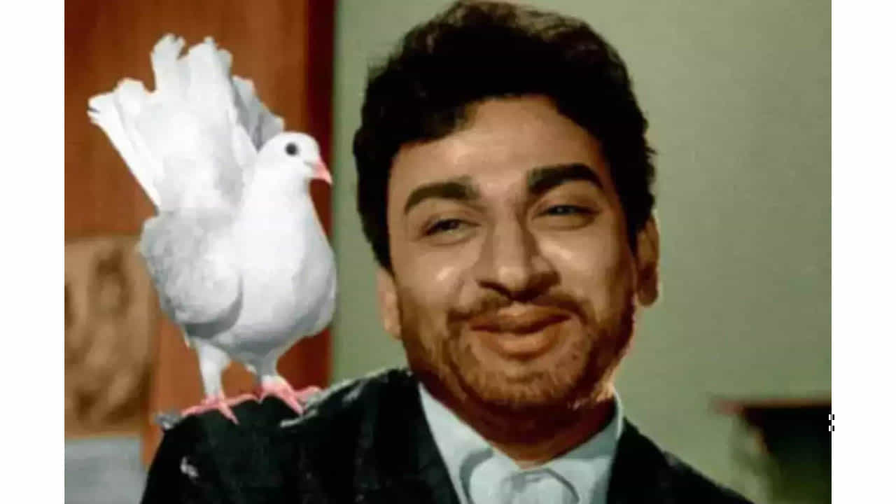 Rajkumar Birthday: ಕೇವಲ ಮೂರನೇ ಕ್ಲಾಸ್ ಓದಿದ್ದ ರಾಜ್ಕುಮಾರ್ ಇಂಗ್ಲಿಷ್ ಕಲಿತಿದ್ದು ಹೇಗೆ? ಇಲ್ಲಿದೆ ಅಚ್ಚರಿಯ ವಿಚಾರ Rajkumar Birthday: ಕೇವಲ ಮೂರನೇ ಕ್ಲಾಸ್ ಓದಿದ್ದ ರಾಜ್ಕುಮಾರ್ ಇಂಗ್ಲಿಷ್ ಕಲಿತಿದ್ದು ಹೇಗೆ? ಇಲ್ಲಿದೆ ಅಚ್ಚರಿಯ ವಿಚಾರ