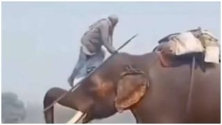 Viral Video: ಉದ್ದೇಶಪೂರ್ವಕವಾಗಿ ವೃದ್ಧನ ಮೇಲೆ ಕಾರು ಹತ್ತಿಸಿದ ಚಾಲಕ; ಶಾಕಿಂಗ್ ವಿಡಿಯೋ ವೈರಲ್