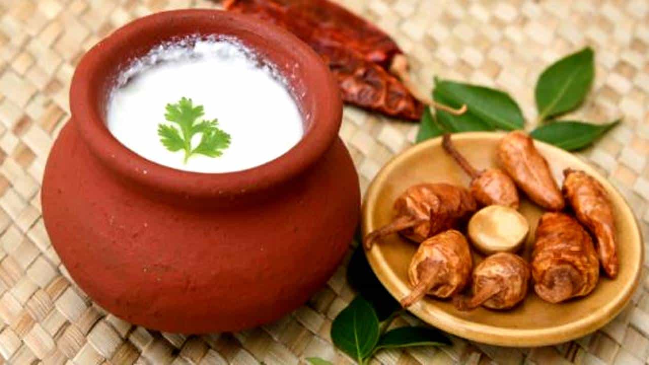 Curd: ಮೊಸರನ್ನು ಹತ್ತು ಹಲವು ಪದಾರ್ಥದೊಂದಿಗೆ, ಪ್ರತ್ಯೇಕವಾಗಿ ಬೆರೆಸಿಕೊಂಡು ತಿನ್ನಿ -ಫಲಿತಾಂಶ ಅದ್ಭುತವಾಗಿರುತ್ತದೆ! Curd: ಮೊಸರನ್ನು ಹತ್ತು ಹಲವು ಪದಾರ್ಥದೊಂದಿಗೆ, ಪ್ರತ್ಯೇಕವಾಗಿ ಬೆರೆಸಿಕೊಂಡು ತಿನ್ನಿ -ಫಲಿತಾಂಶ ಅದ್ಭುತವಾಗಿರುತ್ತದೆ!