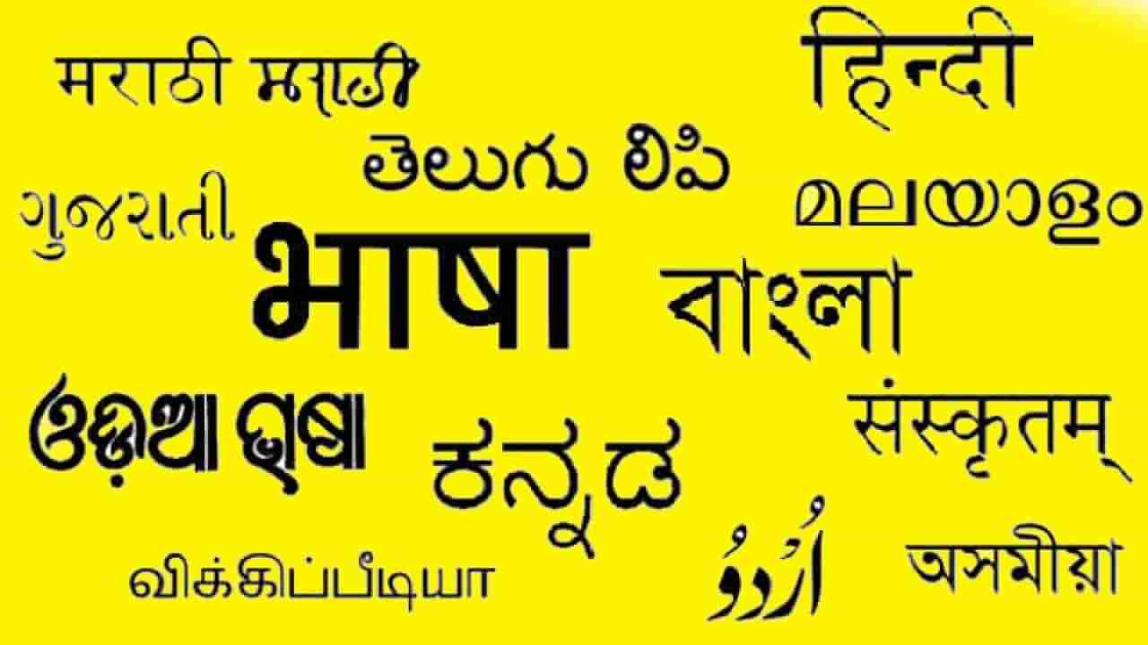 Language Row: ರಾಷ್ಟ್ರೀಯ ಭಾಷೆ ಬಗ್ಗೆ ಸಂವಿಧಾನದಲ್ಲೇನಿದೆ?; ಹಿಂದಿ ವಿರುದ್ಧ ದಕ್ಷಿಣ ಭಾರತೀಯರು ರೊಚ್ಚಿಗೆದ್ದಿರೋದೇಕೆ?