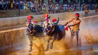 ಶೂನ್ಯದಿಂದ ಬೆಳೆದು ನಿಂತ ಗೋವಿಂದ ಬಾಬು ಪೂಜಾರಿ