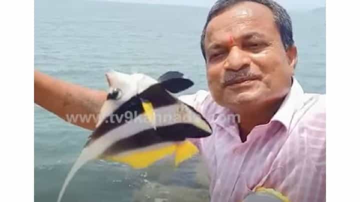 ಕಾರವಾರದ ಬೈತಕೋಲ್ ಬ್ರೇಕ್ ವಾಟರ್ನಲ್ಲಿ ಗಾಳಕ್ಕೆ ಸಿಕ್ಕ ಅಪರೂಪದ ಡಿಸ್ಕೊ ಫಿಶ್; ಇಲ್ಲಿದೆ ವಿಡಿಯೋ ಕಾರವಾರದ ಬೈತಕೋಲ್ ಬ್ರೇಕ್ ವಾಟರ್ನಲ್ಲಿ ಗಾಳಕ್ಕೆ ಸಿಕ್ಕ ಅಪರೂಪದ ಡಿಸ್ಕೊ ಫಿಶ್; ಇಲ್ಲಿದೆ ವಿಡಿಯೋ