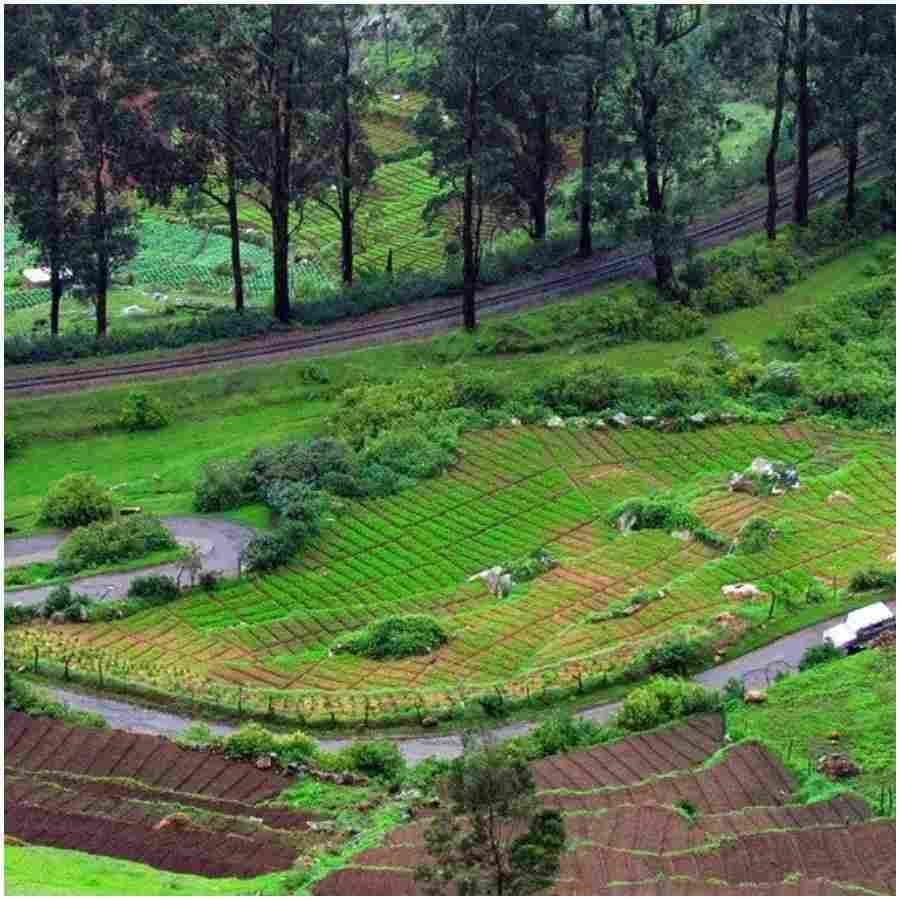 ಮಸ್ಸೂರಿ: ರಜಾದಿನಗಳಲ್ಲಿ ನೀವು ಮಸ್ಸೂರಿಯಲ್ಲಿ ತಂಪಾದ ಗಾಳಿಯನ್ನು ಆನಂದಿಸಬಹುದು. ಇದು ಶಾಂತವಾದ ಸ್ಥಳವಾಗಿದೆ. ಪ್ರತಿ ವರ್ಷ ಹೆಚ್ಚಿನ ಸಂಖ್ಯೆಯಲ್ಲಿ ಜನರು ಇಲ್ಲಿಗೆ ಬರುತ್ತಾರೆ. ಇಲ್ಲಿ ಅನೇಕ ಸುಂದರ ದೃಶ್ಯಾವಳಿಗಳನ್ನು ಆನಂದಿಸಬಹುದು.