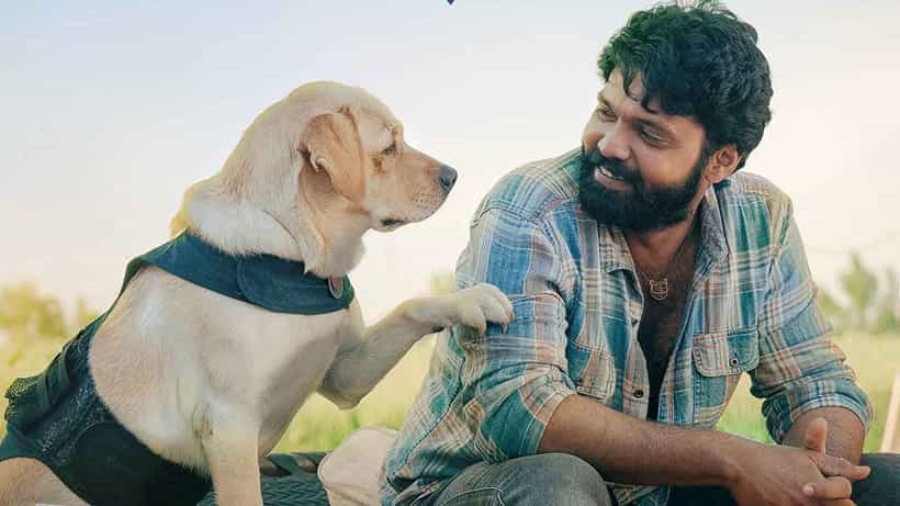 ರಕ್ಷಿತ್ ಶೆಟ್ಟಿ ನಟನೆಯ ‘777 ಚಾರ್ಲಿ’ ಚಿತ್ರದಿಂದ ಹೊಸ ಅಪ್ಡೇಟ್; ಇದು ಫ್ಯಾನ್ಸ್ ಖುಷಿಪಡೋ ವಿಚಾರ
