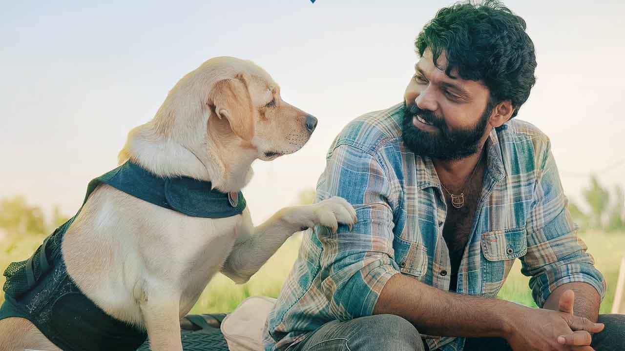 ರಕ್ಷಿತ್ ಶೆಟ್ಟಿ ನಟನೆಯ ‘777 ಚಾರ್ಲಿ’ ಚಿತ್ರದಿಂದ ಹೊಸ ಅಪ್ಡೇಟ್; ಇದು ಫ್ಯಾನ್ಸ್ ಖುಷಿಪಡೋ ವಿಚಾರ ರಕ್ಷಿತ್ ಶೆಟ್ಟಿ ನಟನೆಯ ‘777 ಚಾರ್ಲಿ’ ಚಿತ್ರದಿಂದ ಹೊಸ ಅಪ್ಡೇಟ್; ಇದು ಫ್ಯಾನ್ಸ್ ಖುಷಿಪಡೋ ವಿಚಾರ