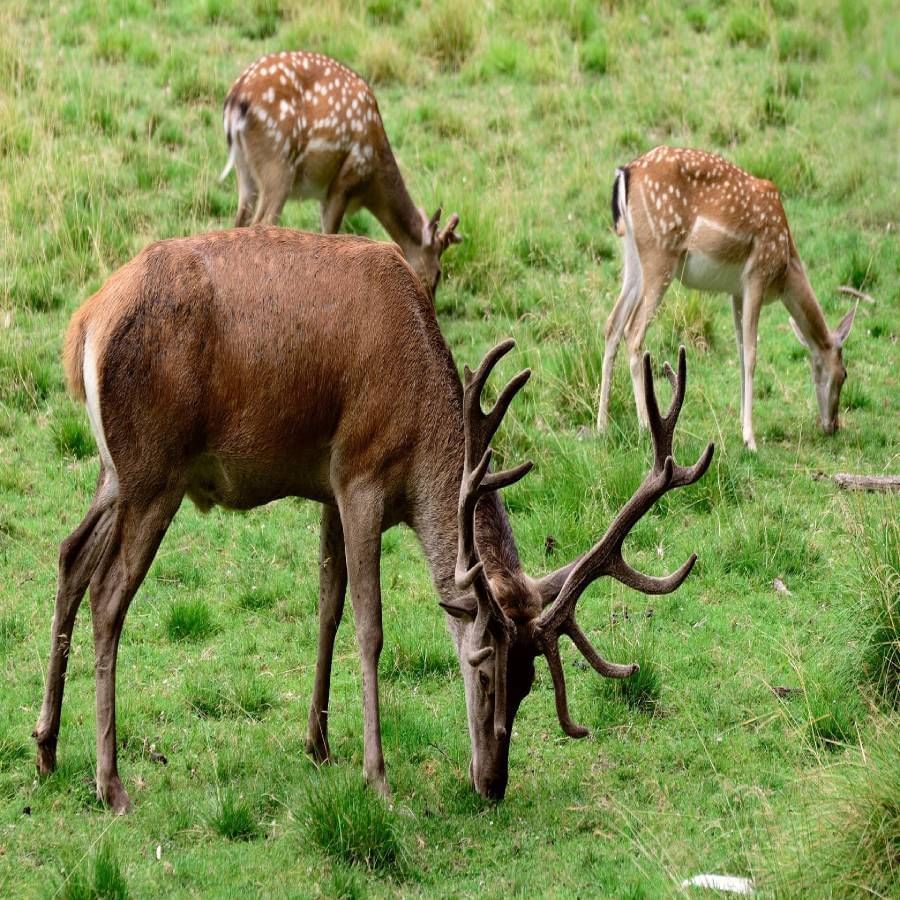 Ooty trip tips: ನಿಮ್ಮ ಊಟಿ ಪ್ರವಾಸದ ವೇಳೆ ಈ ಸುಂದರ ಸ್ಥಳಗಳಿಗೆ ಭೇಟಿ ನೀಡುವುದನ್ನು ಮರೆಯಬೇಡಿ..!