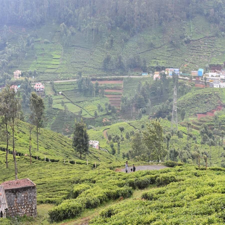 Ooty trip tips: ನಿಮ್ಮ ಊಟಿ ಪ್ರವಾಸದ ವೇಳೆ ಈ ಸುಂದರ ಸ್ಥಳಗಳಿಗೆ ಭೇಟಿ ನೀಡುವುದನ್ನು ಮರೆಯಬೇಡಿ..!