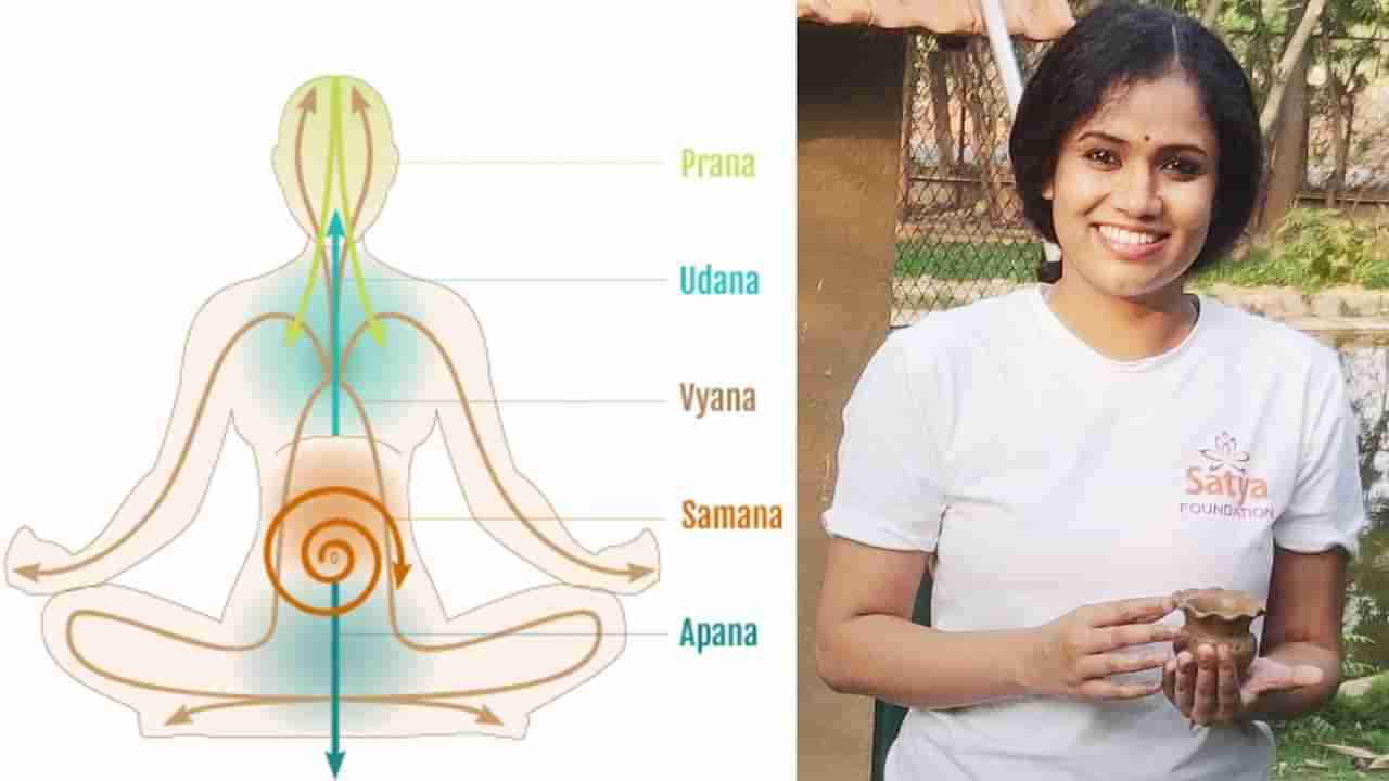 Art Of Yoga: ಅಪಾನವಾಯು ಎಂದರೇನು? ತತ್ವ, ಚಕ್ರಗಳ ಬಗ್ಗೆ ಮಾಹಿತಿ ಇಲ್ಲಿದೆ