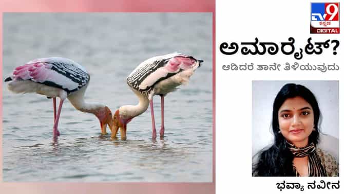 ಅಮಾರೈಟ್ : ‘ಎಲ್ಲವನ್ನೂ ನಿನ್ನಲ್ಲೇ ಗಿರವಿ ಇಟ್ಟಿರುವಾಗ ಏನನ್ನ ಮಾರಿಕೊಂಡರೆ ಈ ‘ಪುರುಸೊತ್ತುʼ ಖರೀದಿಸಬಹುದು’