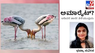 Eid Mubarak : ಬಸವನ ದಾಸೋಹ ರಂಜಾನ್‌ನ ರೋಜಾದ ಹಸಿವನ್ನು ತೀರಿಸುವ ಹಂಬಲದಲ್ಲಿ ಬಂದು ನಿಂತಿದೆ