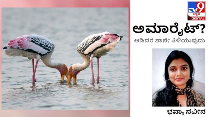 ಅಮಾರೈಟ್ : ‘ಎಲ್ಲವನ್ನೂ ನಿನ್ನಲ್ಲೇ ಗಿರವಿ ಇಟ್ಟಿರುವಾಗ ಏನನ್ನ ಮಾರಿಕೊಂಡರೆ ಈ ‘ಪುರುಸೊತ್ತುʼ ಖರೀದಿಸಬಹುದು’