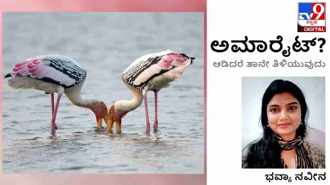 ಅಮಾರೈಟ್ : ‘ಎಲ್ಲವನ್ನೂ ನಿನ್ನಲ್ಲೇ ಗಿರವಿ ಇಟ್ಟಿರುವಾಗ ಏನನ್ನ ಮಾರಿಕೊಂಡರೆ ಈ ‘ಪುರುಸೊತ್ತುʼ ಖರೀದಿಸಬಹುದು’