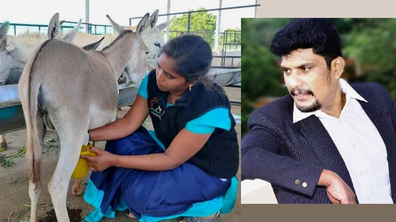 ಪಿಯುಸಿಗೆ ಓದು ನಿಲ್ಲಿಸಿ, ಕತ್ತೆ ಹಾಲು ವ್ಯಾಪಾರಕ್ಕೆ ಕೈ ಹಾಕಿ ಭಾರೀ ಸಂಪಾದನೆ ಮಾಡುತ್ತಿದ್ದಾನೆ ಈ ಯುವಕ! ಕತ್ತೆ ಹಾಲು ಸರಬರಾಜು ಮಾಡುತ್ತಿರುವುದು ಯಾರಿಗೆ ಗೊತ್ತಾ? ಪಿಯುಸಿಗೆ ಓದು ನಿಲ್ಲಿಸಿ, ಕತ್ತೆ ಹಾಲು ವ್ಯಾಪಾರಕ್ಕೆ ಕೈ ಹಾಕಿ ಭಾರೀ ಸಂಪಾದನೆ ಮಾಡುತ್ತಿದ್ದಾನೆ ಈ ಯುವಕ! ಕತ್ತೆ ಹಾಲು ಸರಬರಾಜು ಮಾಡುತ್ತಿರುವುದು ಯಾರಿಗೆ ಗೊತ್ತಾ?