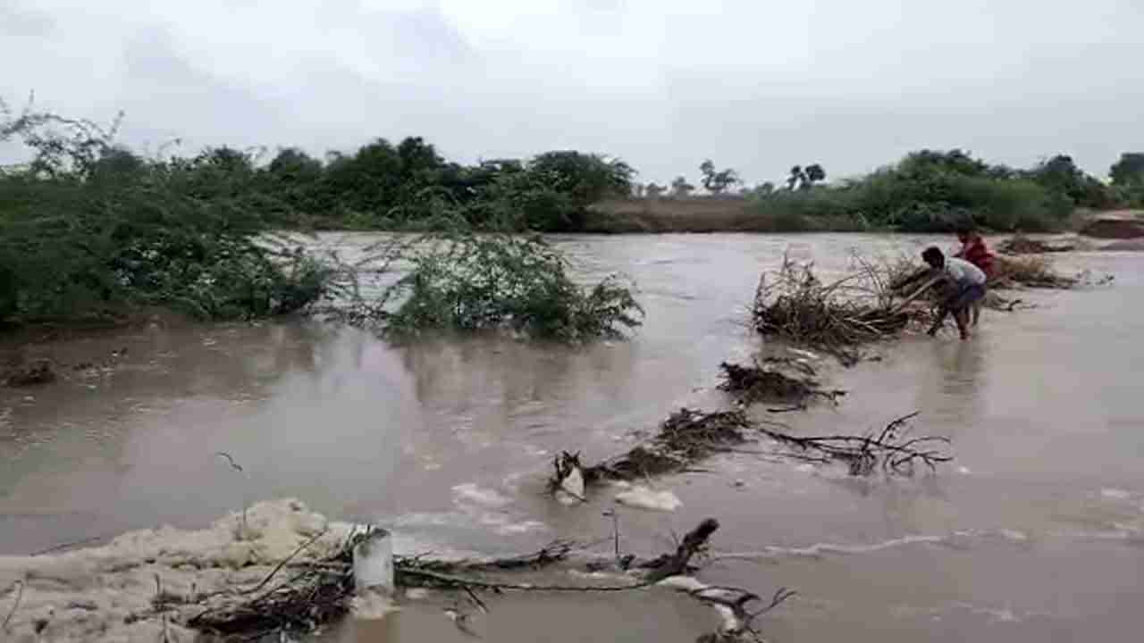 Karnataka Rain: ಧಾರವಾಡದಲ್ಲಿ ಮುಂದುವರಿದ ಮಳೆ, ಪ್ರತಿ ಜಿಲ್ಲೆಗೂ ನೋಡೆಲ್ ಅಧಿಕಾರಿಗಳ ನೇಮಕ, ದಾವಣಗೆರೆಯಲ್ಲಿ ವ್ಯಾಪಕ ಬೆಳೆ ಹಾನಿ