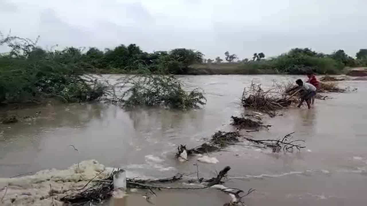 Karnataka Rain: ಧಾರವಾಡದಲ್ಲಿ ಮುಂದುವರಿದ ಮಳೆ, ಪ್ರತಿ ಜಿಲ್ಲೆಗೂ ನೋಡೆಲ್ ಅಧಿಕಾರಿಗಳ ನೇಮಕ, ದಾವಣಗೆರೆಯಲ್ಲಿ ವ್ಯಾಪಕ ಬೆಳೆ ಹಾನಿ Karnataka Rain: ಧಾರವಾಡದಲ್ಲಿ ಮುಂದುವರಿದ ಮಳೆ, ಪ್ರತಿ ಜಿಲ್ಲೆಗೂ ನೋಡೆಲ್ ಅಧಿಕಾರಿಗಳ ನೇಮಕ, ದಾವಣಗೆರೆಯಲ್ಲಿ ವ್ಯಾಪಕ ಬೆಳೆ ಹಾನಿ