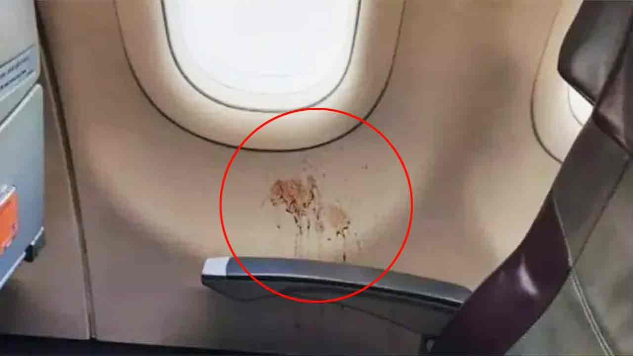 Viral: ವಿಮಾನದ ಕಿಟಕಿ ಬಳಿ ಗುಟ್ಕಾ ಚಿತ್ತಾರ, ಥೂ ಅಸಹ್ಯ ಎಂದ ನೆಟ್ಟಿಗರಿಂದ ಟ್ರೋಲ್ಗಳ ಸುರಿಮಳೆ Viral: ವಿಮಾನದ ಕಿಟಕಿ ಬಳಿ ಗುಟ್ಕಾ ಚಿತ್ತಾರ, ಥೂ ಅಸಹ್ಯ ಎಂದ ನೆಟ್ಟಿಗರಿಂದ ಟ್ರೋಲ್ಗಳ ಸುರಿಮಳೆ