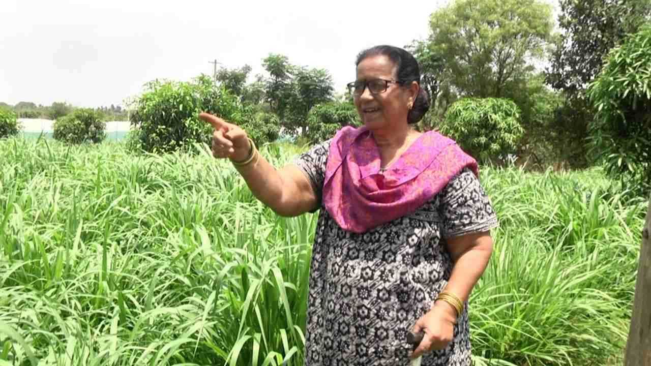 Kolar Husband an engineer but wife become agriculturist to fulfill his wish to do farming 2