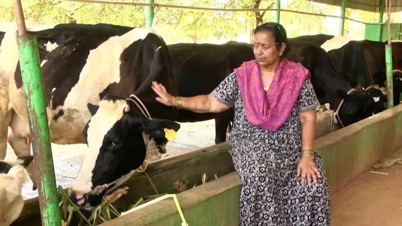 Agriculture: ವ್ಯವಸಾಯ ಮಾಡಬೇಕೆಂಬ ಎಂಜಿನಿಯರ್ ಪತಿಯ ಒತ್ತಾಸೆಗೆ ಪತ್ನಿ ಕೈಗೊಂಡ ವಿಭಿನ್ನ ಕೃಷಿ ಪ್ರಯೋಗ ಏನು ಗೊತ್ತಾ!? Agriculture: ವ್ಯವಸಾಯ ಮಾಡಬೇಕೆಂಬ ಎಂಜಿನಿಯರ್ ಪತಿಯ ಒತ್ತಾಸೆಗೆ ಪತ್ನಿ ಕೈಗೊಂಡ ವಿಭಿನ್ನ ಕೃಷಿ ಪ್ರಯೋಗ ಏನು ಗೊತ್ತಾ!?
