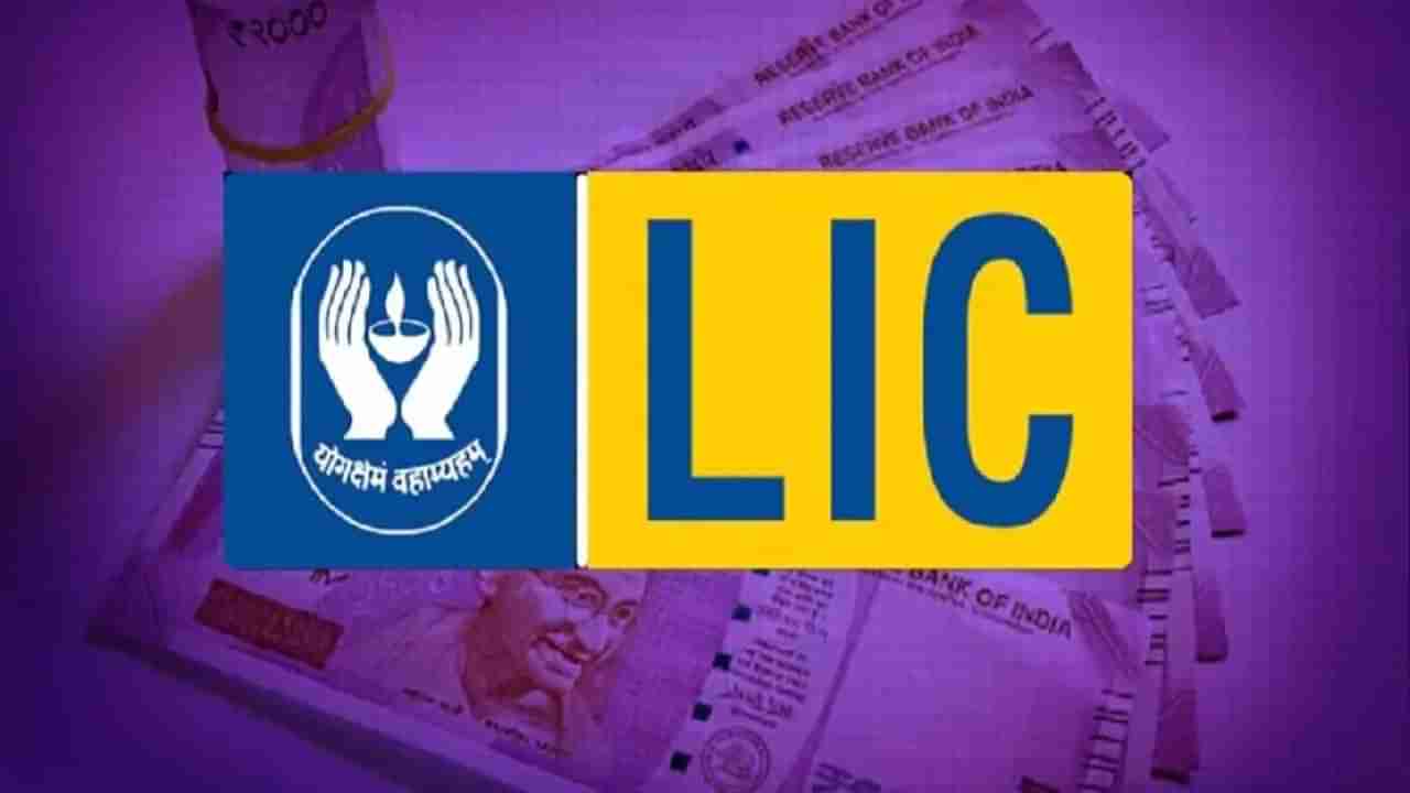 LIC Results: ಎಲ್​ಐಸಿಯ ಇಂದಿನ ಹಣಕಾಸು ಫಲಿತಾಂಶದಿಂದ ಏನನ್ನು ನಿರೀಕ್ಷಿಸಬಹುದು? ಹೂಡಿಕೆದಾರರು ಷೇರು ಖರೀದಿಸಬಹುದಾ?