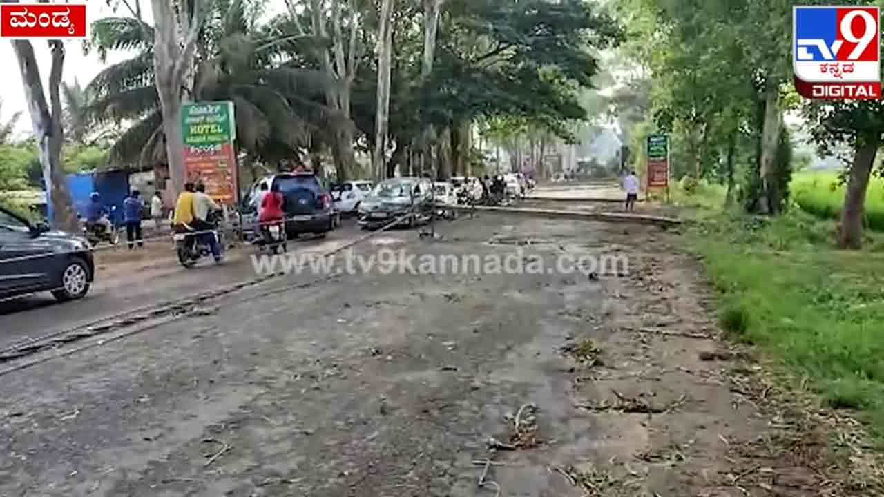 ಮೈಸೂರು, ಮಂಡ್ಯ, ತುಮಕೂರು ಸೇರಿದಂತೆ ವಿವಿಧೆಡೆ ಮಳೆ ಆರ್ಭಟ: ಉರುಳಿದ ಮರಗಳು, ವಿದ್ಯುತ್ ಕಡಿತ