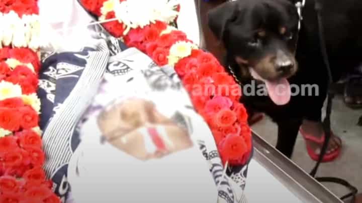 ಮೋಹನ್ ಜುನೇಜ ಶವದ ಎದುರು ಮಂಕಾಗಿ ಕೂತ ಸಾಕು ಪ್ರಾಣಿಗಳು; ಇಲ್ಲಿದೆ ವಿಡಿಯೋ ಮೋಹನ್ ಜುನೇಜ ಶವದ ಎದುರು ಮಂಕಾಗಿ ಕೂತ ಸಾಕು ಪ್ರಾಣಿಗಳು; ಇಲ್ಲಿದೆ ವಿಡಿಯೋ