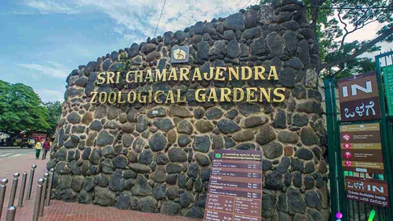 ರಂಜಾನ್: ಪರೀಕ್ಷೆ ಮುಂದೂಡಿದ ಮೈಸೂರು ವಿವಿ, ರಜೆ ರದ್ದುಪಡಿಸಿದ ಮೃಗಾಲಯ