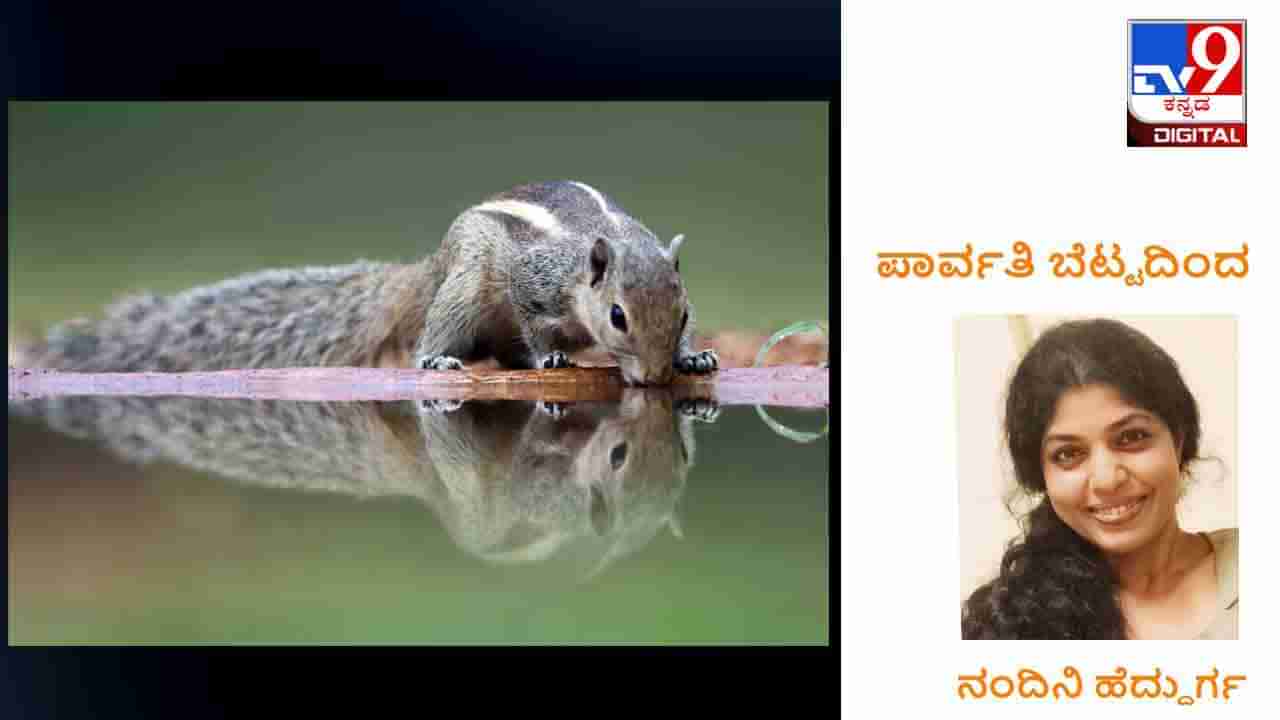 ಋತುವಿಲಾಸಿನಿ: ಹನೀ, ಈ ನಶೆಗಾಗಿಯೇ ಇಡೀ‌ ಲೋಕ ಹಪಹಪಿಸುತ್ತಿದೆ