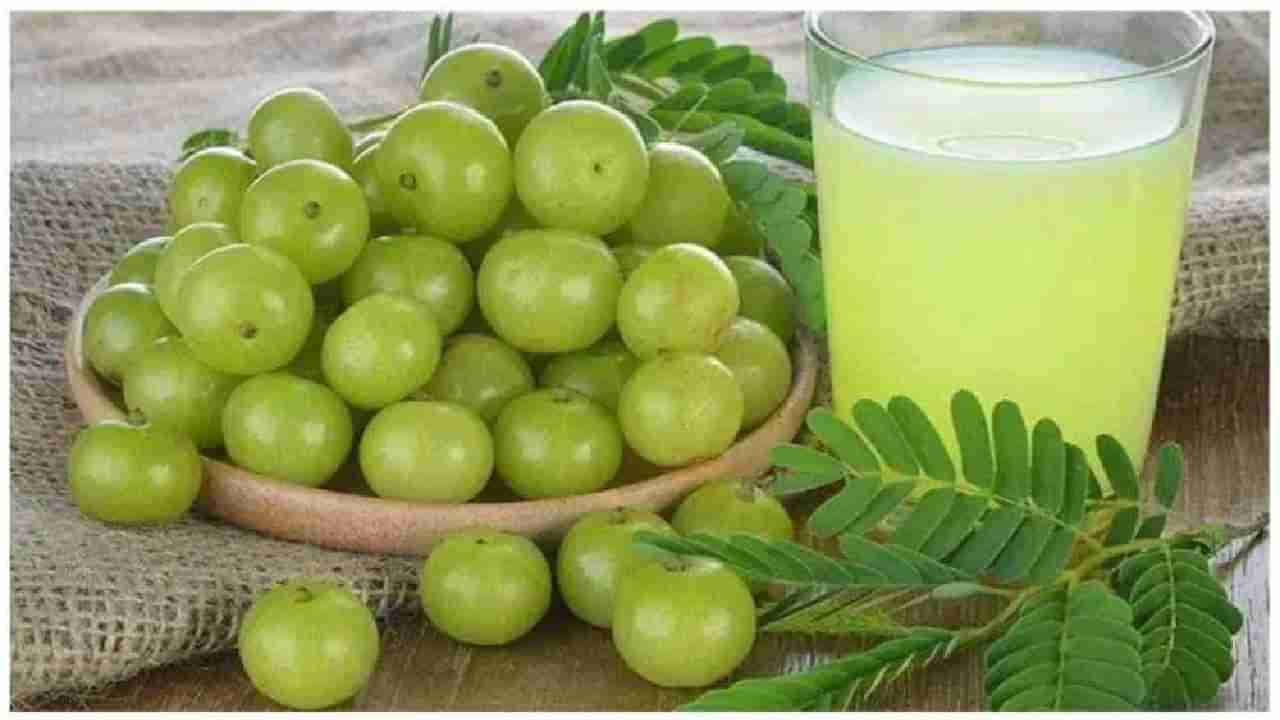 Amla Benefits: ಮಧುಮೇಹಿಗಳಿಗೆ ನೆಲ್ಲಿಕಾಯಿಯಿಂದಾಗುವ ಪ್ರಯೋಜನಗಳೇನು?