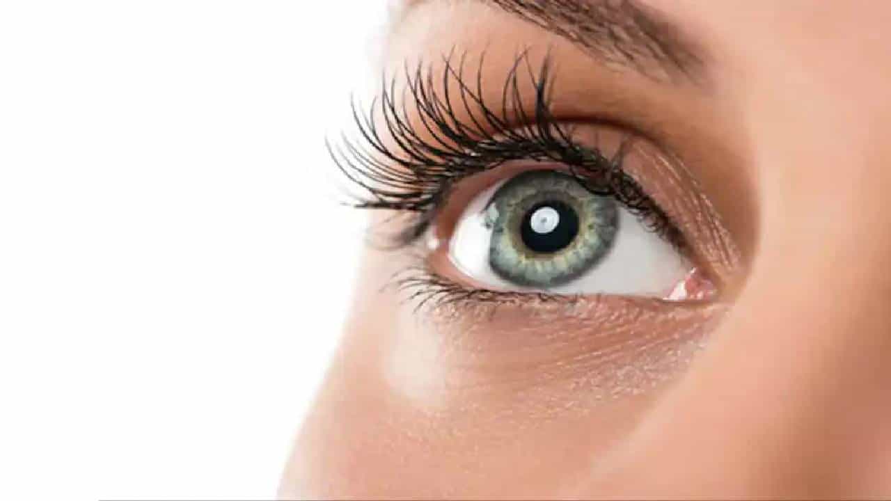 Blindness: ಈ ಆಹಾರಗಳ ಸೇವನೆ ನಿಮ್ಮ ಕುರುಡುತನಕ್ಕೂ ಕಾರಣವಾಗಬಹುದು Blindness: ಈ ಆಹಾರಗಳ ಸೇವನೆ ನಿಮ್ಮ ಕುರುಡುತನಕ್ಕೂ ಕಾರಣವಾಗಬಹುದು