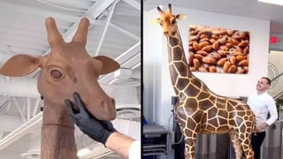 Trending: ಸ್ಟೋನ್‌ಹೆಂಜ್ ನಿರ್ಮಿಸಿದ ಜನರು ತಿನ್ನುತ್ತಿದ್ದ ಪರಾವಲಂಬಿ ಹುಳುಗಳ ಮೊಟ್ಟೆಗಳನ್ನು ಪತ್ತೆಹಚ್ಚಿದ ಪುರಾತತ್ತ್ವ ಶಾಸ್ತ್ರಜ್ಞರು