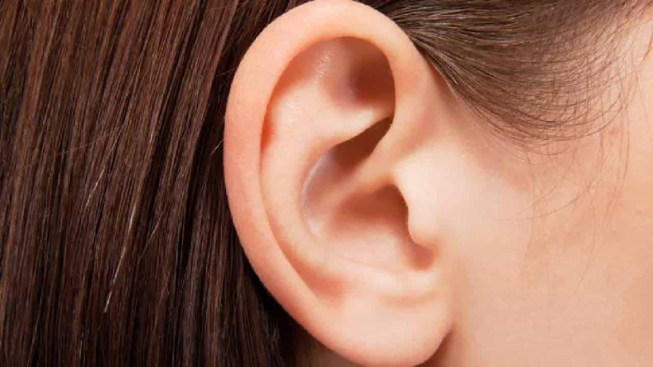 Ear Health: ಕಿವಿಯ ಆರೋಗ್ಯ ಕಾಪಾಡಲು ನೀವೇನು ಮಾಡಬೇಕು? Ear Health: ಕಿವಿಯ ಆರೋಗ್ಯ ಕಾಪಾಡಲು ನೀವೇನು ಮಾಡಬೇಕು?