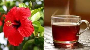 Hibiscus Tea:ದಾಸವಾಳ ಚಹಾ ತಯಾರಿಕೆ, ಪ್ರಯೋಜನ ಹಾಗೂ ದುಷ್ಪರಿಣಾಮಗಳೇನು?