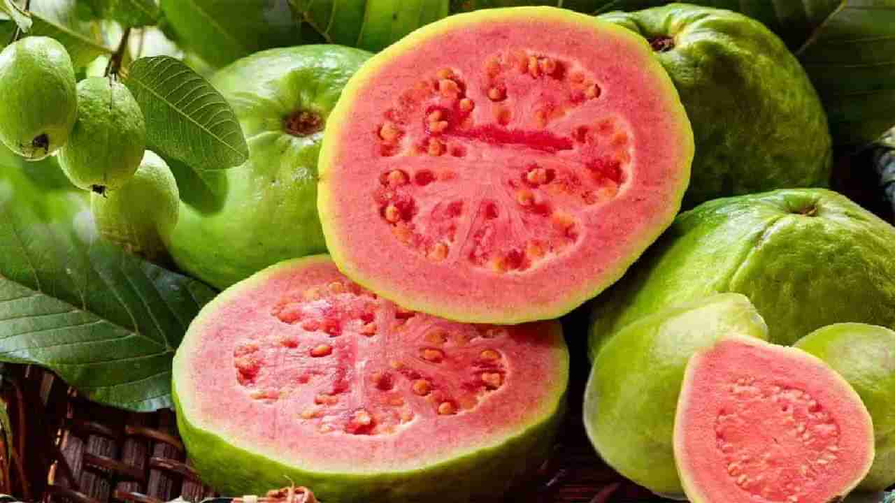 Guava Benefits: ಈ ಸಮಸ್ಯೆಗಳಿಂದ ಬಳಲುತ್ತಿರುವವರು ಪೇರಲೆ ಹಣ್ಣು ಸೇವಿಸಲೇಬೇಕು