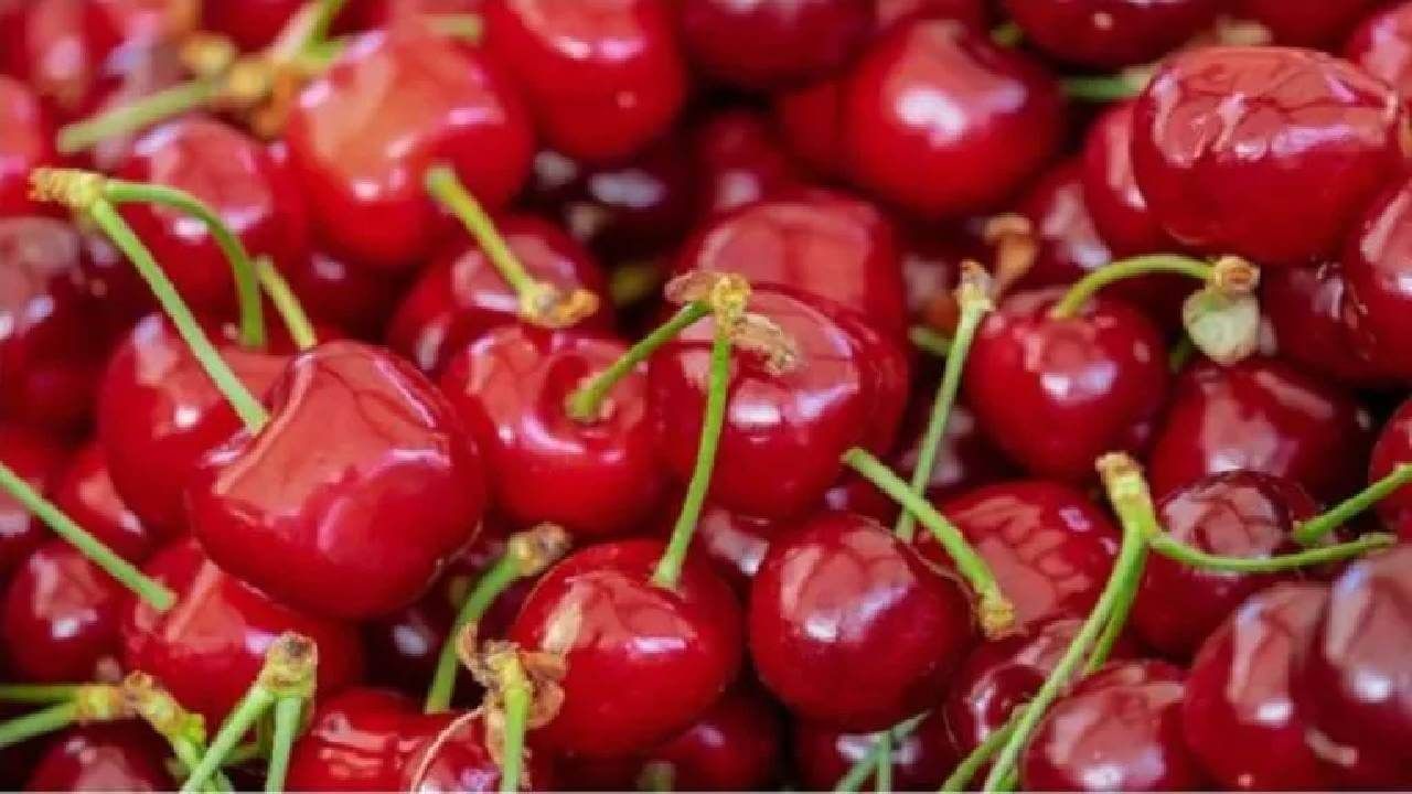 Cherry Benefits: ನಿದ್ರಾಹೀನತೆ ಹೋಗಲಾಡಿಸುವ ಚೆರ್ರಿ ಹಣ್ಣಿನ ಇತರೆ ವಿಶೇಷತೆ ಏನು?