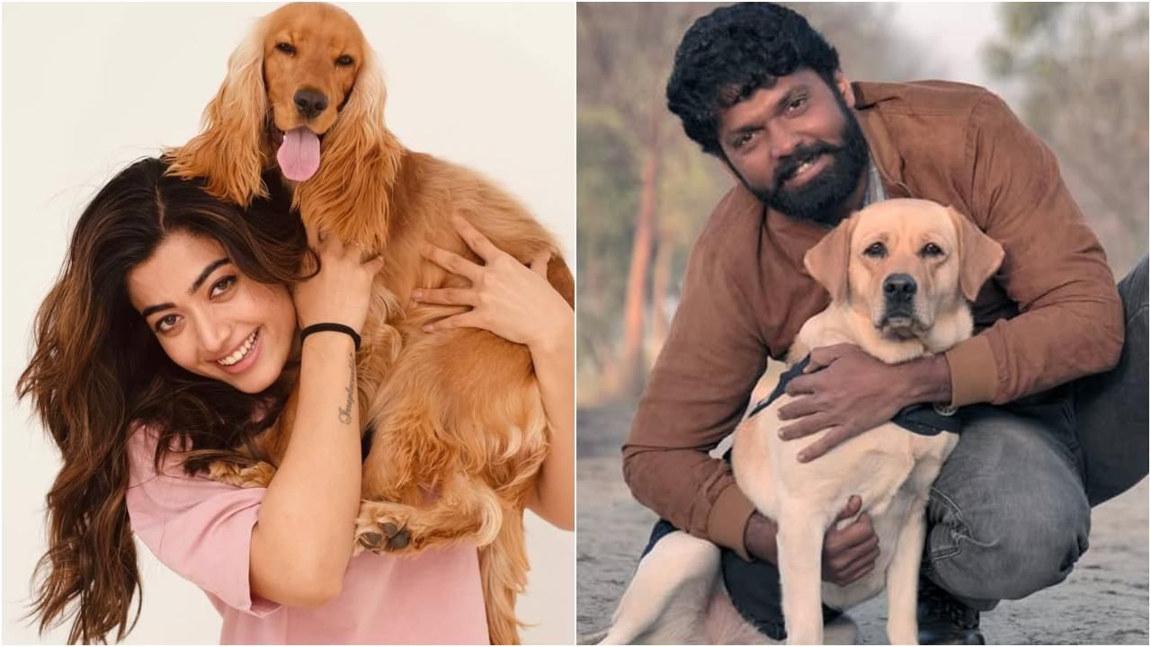 ರಶ್ಮಿಕಾ ಮಂದಣ್ಣಗೆ ಖಂಡಿತಾ ಇಷ್ಟ ಆಗಲಿದೆ ರಕ್ಷಿತ್ ಶೆಟ್ಟಿಯ ‘777 ಚಾರ್ಲಿ’ ಸಿನಿಮಾ; ಕಾರಣ ಏನು? ರಶ್ಮಿಕಾ ಮಂದಣ್ಣಗೆ ಖಂಡಿತಾ ಇಷ್ಟ ಆಗಲಿದೆ ರಕ್ಷಿತ್ ಶೆಟ್ಟಿಯ ‘777 ಚಾರ್ಲಿ’ ಸಿನಿಮಾ; ಕಾರಣ ಏನು?