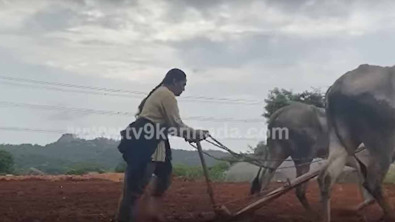 ನೇಗಿಲು ಹಿಡಿದು ಹೊಲದಲ್ಲಿ ಉಳುಮೆ ಮಾಡಿದರು ಚಿತ್ರ ನಟಿ ಶೃತಿ, ಅಮ್ಮನ ಶ್ರಮವನ್ನು ಮಗಳು ಕೆಮೆರಾನಲ್ಲಿ ಸೆರೆ ಹಿಡಿದರು!