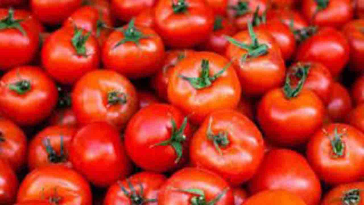 Tomato Price: ಗ್ರಾಹಕರಿಗೆ ಸಂಕಷ್ಟ; ಭರ್ಜರಿ ಏರಿಕೆ ಕಂಡ ಟೊಮ್ಯಾಟೊ ದರ