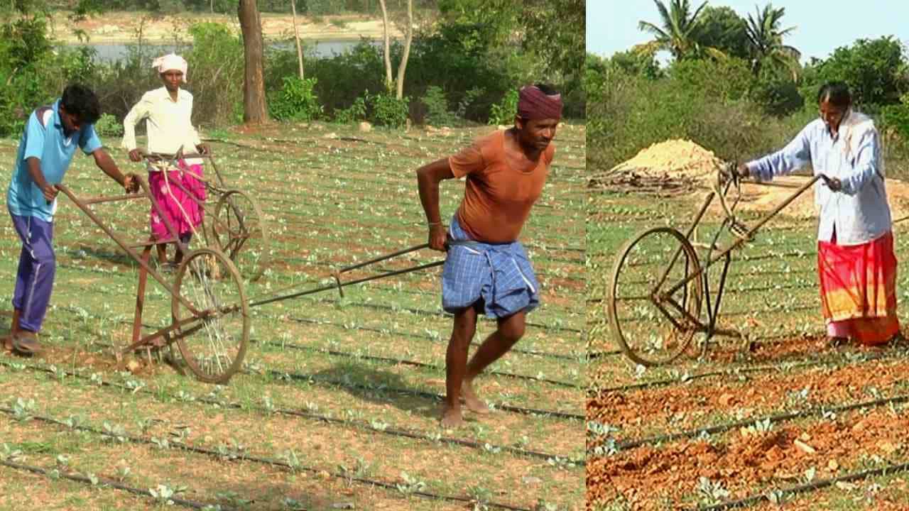 Bangarpet: ಕೂಲಿಕಾರರು ಸಿಗದಿದ್ದಾಗ ಇದೇ ರೈತರ ಮಾಸ್ಟರ್ ಪ್ಲಾನ್! ಕಳೆ ತೆಗೆಯಲು ಸಿಂಪಲ್ ಯಂತ್ರ Bangarpet: ಕೂಲಿಕಾರರು ಸಿಗದಿದ್ದಾಗ ಇದೇ ರೈತರ ಮಾಸ್ಟರ್ ಪ್ಲಾನ್! ಕಳೆ ತೆಗೆಯಲು ಸಿಂಪಲ್ ಯಂತ್ರ