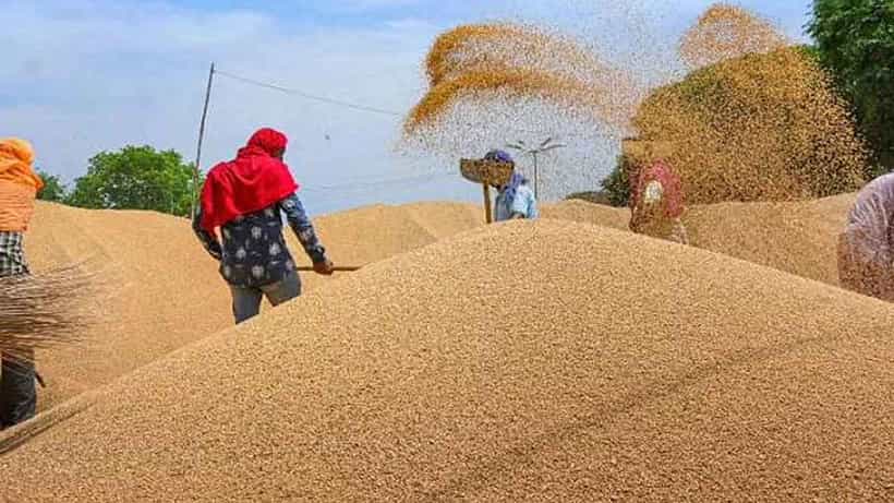 ಭಾರತ ರಫ್ತು ನಿಷೇಧಿಸಿದ ನಂತರ ದಾಖಲೆಯ ಏರಿಕೆ ಕಂಡ ಗೋಧಿ ಬೆಲೆ: ವರದಿ