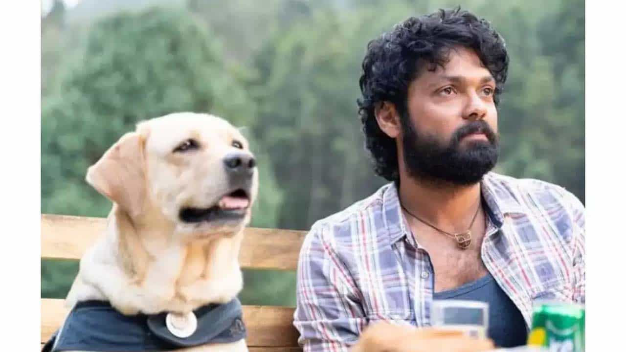 ಹಿಂದಿಯಲ್ಲಿ ‘777 ಚಾರ್ಲಿ’ ಚಿತ್ರಕ್ಕೆ ಸಿಕ್ತು ದೊಡ್ಡ ಬೆಂಬಲ; ರಕ್ಷಿತ್ ಫ್ಯಾನ್ಸ್ಗೆ ಗುಡ್ ನ್ಯೂಸ್ ಹಿಂದಿಯಲ್ಲಿ ‘777 ಚಾರ್ಲಿ’ ಚಿತ್ರಕ್ಕೆ ಸಿಕ್ತು ದೊಡ್ಡ ಬೆಂಬಲ; ರಕ್ಷಿತ್ ಫ್ಯಾನ್ಸ್ಗೆ ಗುಡ್ ನ್ಯೂಸ್