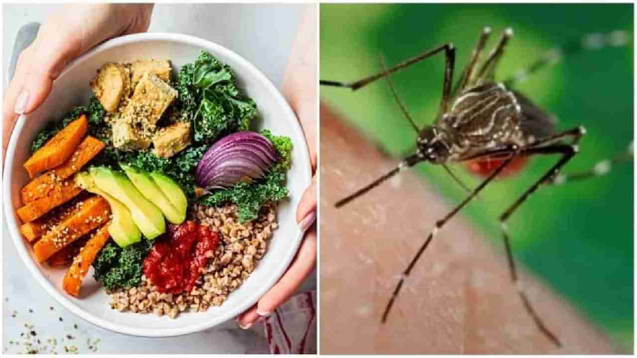 National Dengue Day: ಡೆಂಗ್ಯೂ ಜ್ವರದಿಂದ ಪಾರಾಗಲು ಏನು ತಿನ್ನಬೇಕು? ಯಾವ ಡಯಟ್ ಪ್ಲಾನ್ ಅನುಸರಿಸಬೇಕು?