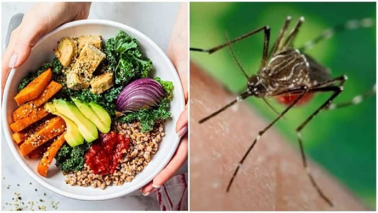 National Dengue Day: ಡೆಂಗ್ಯೂ ಜ್ವರದಿಂದ ಪಾರಾಗಲು ಏನು ತಿನ್ನಬೇಕು? ಯಾವ ಡಯಟ್ ಪ್ಲಾನ್ ಅನುಸರಿಸಬೇಕು? National Dengue Day: ಡೆಂಗ್ಯೂ ಜ್ವರದಿಂದ ಪಾರಾಗಲು ಏನು ತಿನ್ನಬೇಕು? ಯಾವ ಡಯಟ್ ಪ್ಲಾನ್ ಅನುಸರಿಸಬೇಕು?