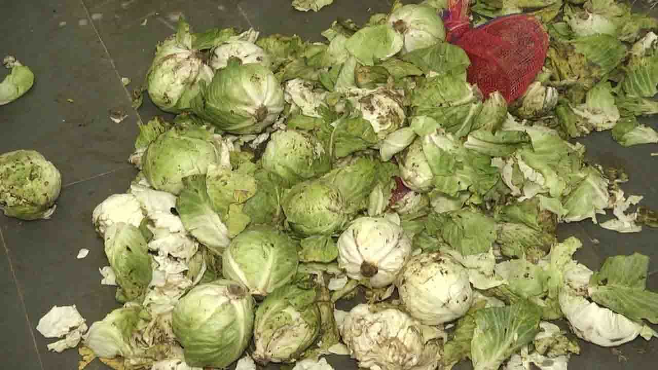 ಕೊಳೆತ ತರಕಾರಿ, ಹುಳುಗಳು ತುಂಬಿದ ಧಾನ್ಯಗಳಿಂದ ವಿದ್ಯಾರ್ಥಿಗಳಿಗೆ ಅಡುಗೆ; BCM ಹಾಸ್ಟೆಲ್ ನಲ್ಲಿ ವಿದ್ಯಾರ್ಥಿಗಳ ಜೀವನದ ಜೊತೆ ಚೆಲ್ಲಾಟ ಕೊಳೆತ ತರಕಾರಿ, ಹುಳುಗಳು ತುಂಬಿದ ಧಾನ್ಯಗಳಿಂದ ವಿದ್ಯಾರ್ಥಿಗಳಿಗೆ ಅಡುಗೆ; BCM ಹಾಸ್ಟೆಲ್ ನಲ್ಲಿ ವಿದ್ಯಾರ್ಥಿಗಳ ಜೀವನದ ಜೊತೆ ಚೆಲ್ಲಾಟ