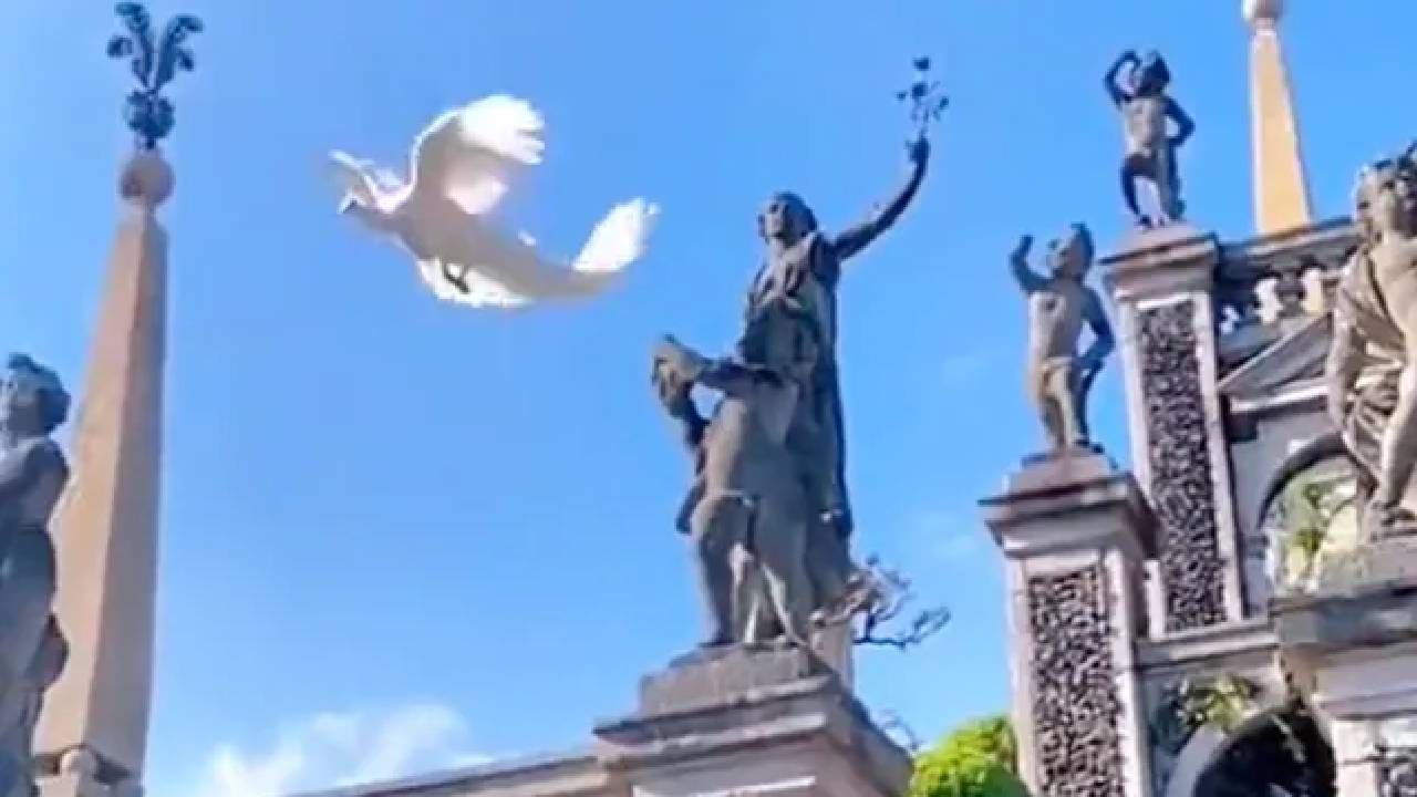 Viral Video: ಅಪರೂಪದ ಬಿಳಿ ನವಿಲು ಹಾರುತ್ತಿರುವ ದೃಶ್ಯ ಸೆರೆ; ಮಂತ್ರಮುಗ್ಧರಾದ ನೆಟ್ಟಿಗರು Viral Video: ಅಪರೂಪದ ಬಿಳಿ ನವಿಲು ಹಾರುತ್ತಿರುವ ದೃಶ್ಯ ಸೆರೆ; ಮಂತ್ರಮುಗ್ಧರಾದ ನೆಟ್ಟಿಗರು